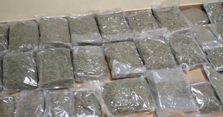 Prawie 60 kilogramów marihuany przejęte przez świętokrzyską policję / KWP Kielce