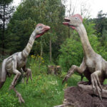 Świętokrzyskie na fali - Bałtów. / Ewa Kiślak / Radio Kielce