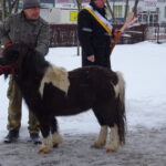 Orszak Trzech Króli / Anna Głąb / Radio Kielce