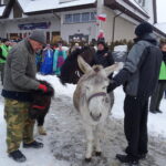 Orszak Trzech Króli / Anna Głąb / Radio Kielce