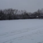 Boisko przy I LO im. Mikołaja Reja w Jędrzejowie / Ewa Pociejowska-Gawęda / Radio Kielce