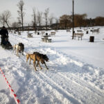 Sandomierz. Na bulwarze nadwiślańskim rzeszowski klubu psich zaprzęgów zorganizował pokazy, zainteresowani mogli skorzystać z przejażdżki psim zaprzęgiem / Grażyna Szlęzak-Wójcik / Radio Kielce