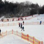 Stok w Konarach / Ireneusz Jarosz