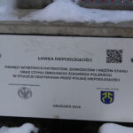 Ławka Niepodległości w Pińczowie została ustawiona w Parku Miejskim / Marta Gajda / Radio Kielce