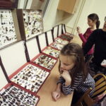 13.01.2017 Kielce. "Noc Biologów" na UJK / Jarosław Kubalski / Radio Kielce