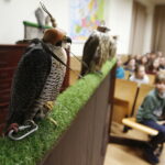 11.01.2019 Kielce. Noc Biologów na UJK / Jarosław Kubalski / Radio Kielce