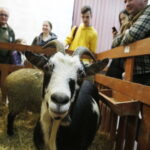 11.01.2019 Kielce. Noc Biologów na UJK / Jarosław Kubalski / Radio Kielce