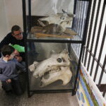 11.01.2019 Kielce. Noc Biologów na UJK / Jarosław Kubalski / Radio Kielce