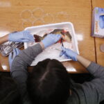 11.01.2019 Kielce. Noc Biologów na UJK / Jarosław Kubalski / Radio Kielce