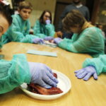 11.01.2019 Kielce. Noc Biologów na UJK / Jarosław Kubalski / Radio Kielce