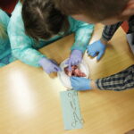 11.01.2019 Kielce. Noc Biologów na UJK / Jarosław Kubalski / Radio Kielce