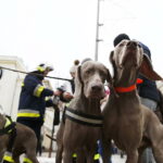 13.01.2019 Kielce. WOŚP. Wielka Orkiestra Świątecznej Pomocy / Jarosław Kubalski / Radio Kielce