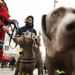 13.01.2019 Kielce. WOŚP. Wielka Orkiestra Świątecznej Pomocy / Jarosław Kubalski / Radio Kielce