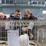 26.01.2019 Kielce. Krajowa Wystawa Gołębi Rasowych i Drobnego Inwentarza / Jarosław Kubalski / Radio Kielce