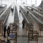 26.01.2019 Kielce. Krajowa Wystawa Gołębi Rasowych i Drobnego Inwentarza / Jarosław Kubalski / Radio Kielce