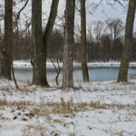 Zima / Marzena Mąkosa / Radio Kielce