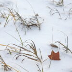 Zima / Marzena Mąkosa / Radio Kielce