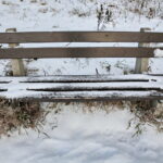 Zima / Marzena Mąkosa / Radio Kielce