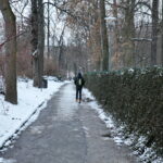 Zima / Marzena Mąkosa / Radio Kielce