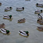 Zima / Marzena Mąkosa / Radio Kielce