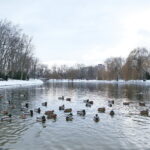 Zima / Marzena Mąkosa / Radio Kielce