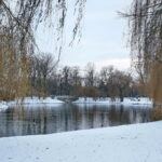 Zima / Marzena Mąkosa / Radio Kielce