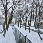 Zima / Marzena Mąkosa / Radio Kielce