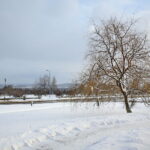 Zima / Marzena Mąkosa / Radio Kielce