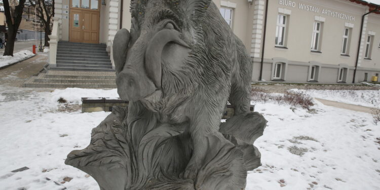 Dzik Kiełek / Marzena Mąkosa / Radio Kielce