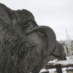 Dzik Kiełek / Marzena Mąkosa / Radio Kielce