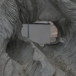 Dzik Kiełek / Marzena Mąkosa / Radio Kielce