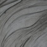 Dzik Kiełek / Marzena Mąkosa / Radio Kielce