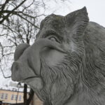 Dzik Kiełek / Marzena Mąkosa / Radio Kielce