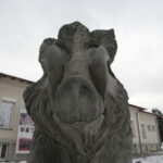 Dzik Kiełek / Marzena Mąkosa / Radio Kielce