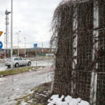 Ulica Krakowska / Marzena Mąkosa / Radio Kielce