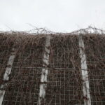 Ulica Krakowska / Marzena Mąkosa / Radio Kielce