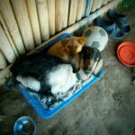 Nepal / Katarzyna Barwicka