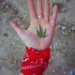 Nepal / Katarzyna Barwicka