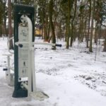 Busko-Zdrój. Małpi Gaj / Urząd Miasta i Gminy Busko-Zdrój