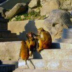 Nepal / Katarzyna Barwicka