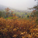 Nepal / Katarzyna Barwicka