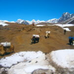 Nepal / Katarzyna Barwicka