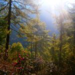 Nepal / Katarzyna Barwicka