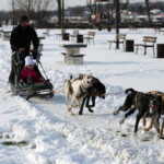Sandomierz. Na bulwarze nadwiślańskim rzeszowski klubu psich zaprzęgów zorganizował pokazy, zainteresowani mogli skorzystać z przejażdżki psim zaprzęgiem / Grażyna Szlęzak-Wójcik / Radio Kielce