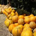 Kirgistan i Tadżykistan / Tomasz Tułak