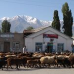 Kirgistan i Tadżykistan / Tomasz Tułak