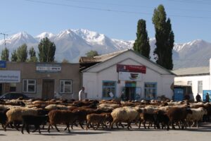 Kirgistan i Tadżykistan / Tomasz Tułak