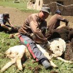 Kirgistan i Tadżykistan / Tomasz Tułak