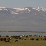 Kirgistan i Tadżykistan / Tomasz Tułak