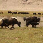 Kirgistan i Tadżykistan / Tomasz Tułak